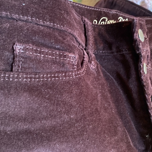 High Rise Skinny Corduroy pants - Picture 3 of 3